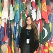 Ofrezco clases particulares de Asignaturas de Humanidades (Historia del Arte, entre otros)